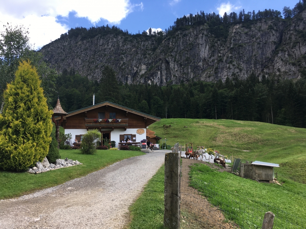 Wanderung Breitenstein vom Walchsee: Wanderung Breitenstein vom Walchsee: Riederalm