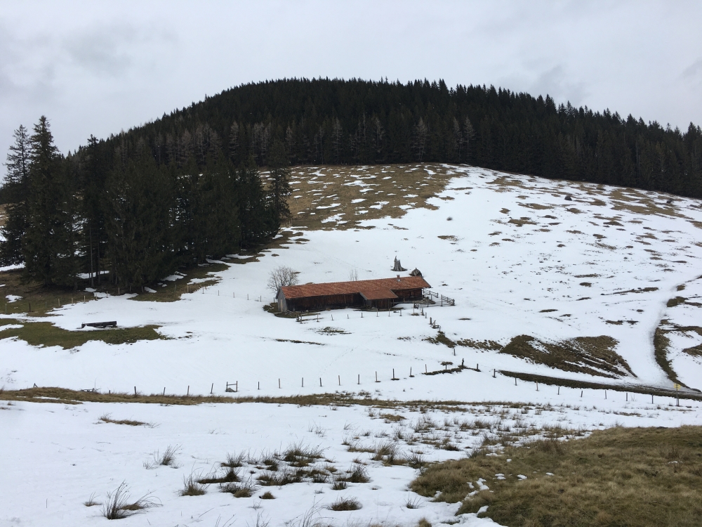Wanderung Großer Riesenkopf: Wanderung Großer Riesenkopf: Die Riesenkopfalm mit dem Großer Riesenkopf im Hintergrund 