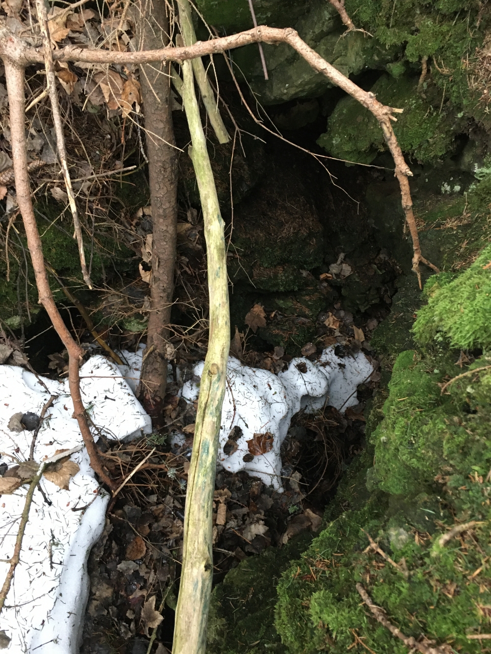 Wanderung Große Riesenkopfrunde: Wanderung Große Riesenkopfrunde: Blick in den mit Stacheldraht eingezäunten Riesenkopfalmschacht