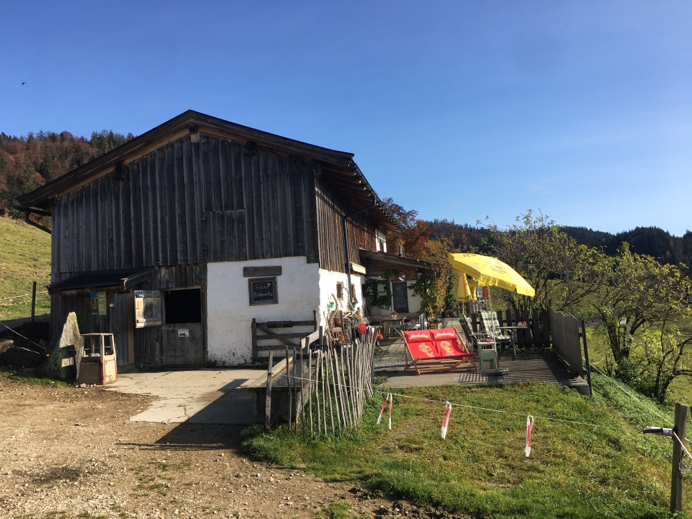 Wanderung Taubensee: Wanderung Taubensee: Rinderbrachalm