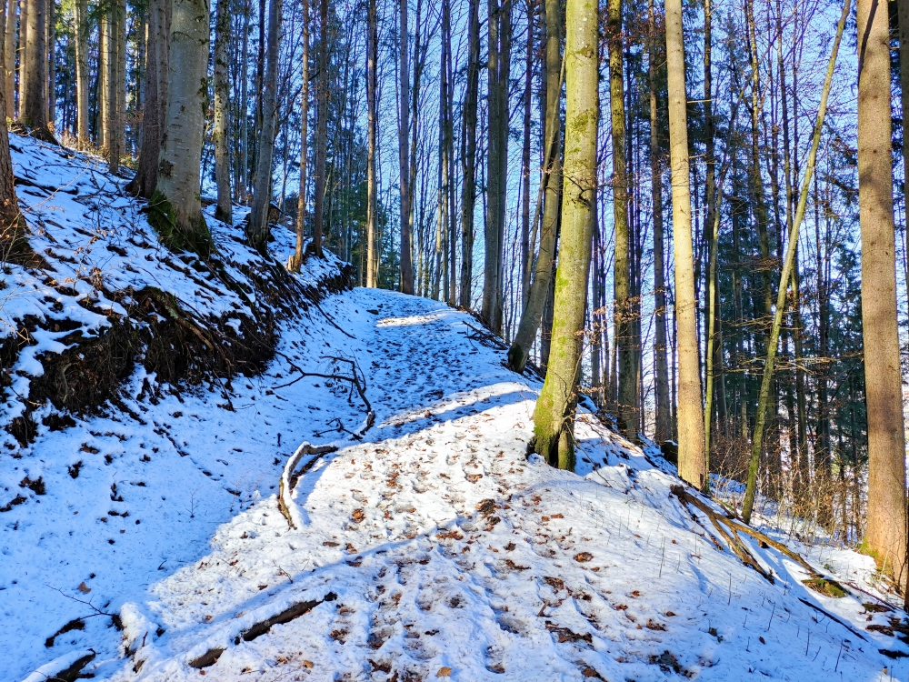 Wanderung Ringspitz: Aufstieg zum Schloß