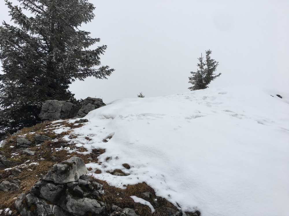 Wanderung Bodenschneid-Grat zum Rainerkopf: Wanderung Bodenschneid-Grat zum Rainerkopf: Unspektakulär ohne Gipfelkreuz: die Rinnerspitz