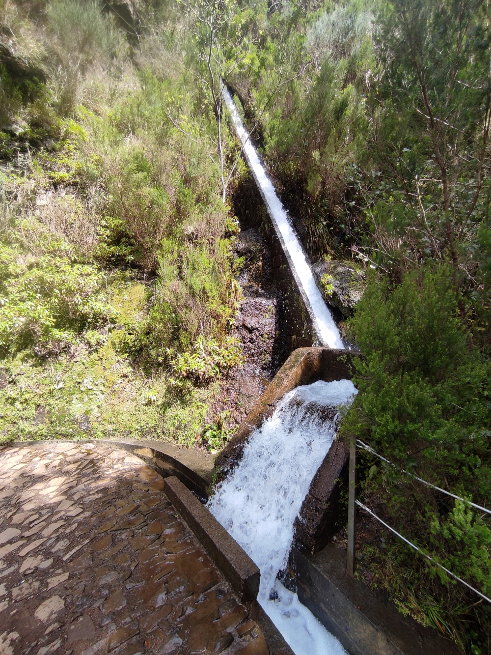 Wanderung PR6 Levada do Risco - Levada das 25 Fontes : Kurz hinter dem Nordportal des Tunnels