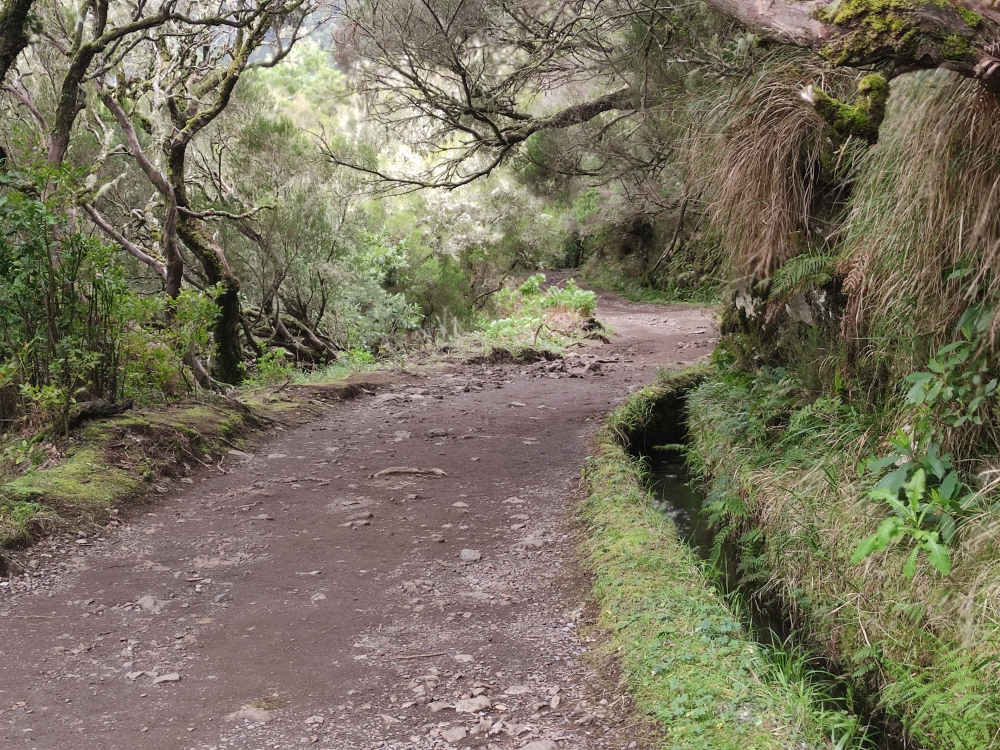 Wanderung PR6 Levada do Risco - Levada das 25 Fontes : Breiter Levada-Wanderweg