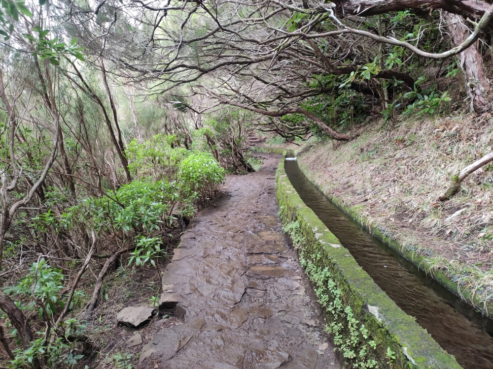 Wanderung PR6 Levada do Risco - Levada das 25 Fontes : Levada das 25 Fontes