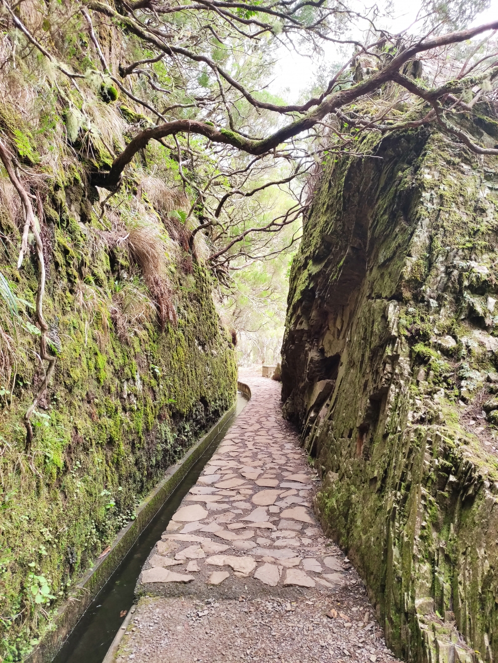 Wanderung PR6 Levada do Risco - Levada das 25 Fontes : Levada das 25 Fontes