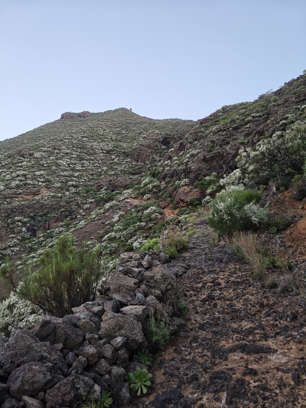 Wanderung Risco Blanco: Der obere Weg