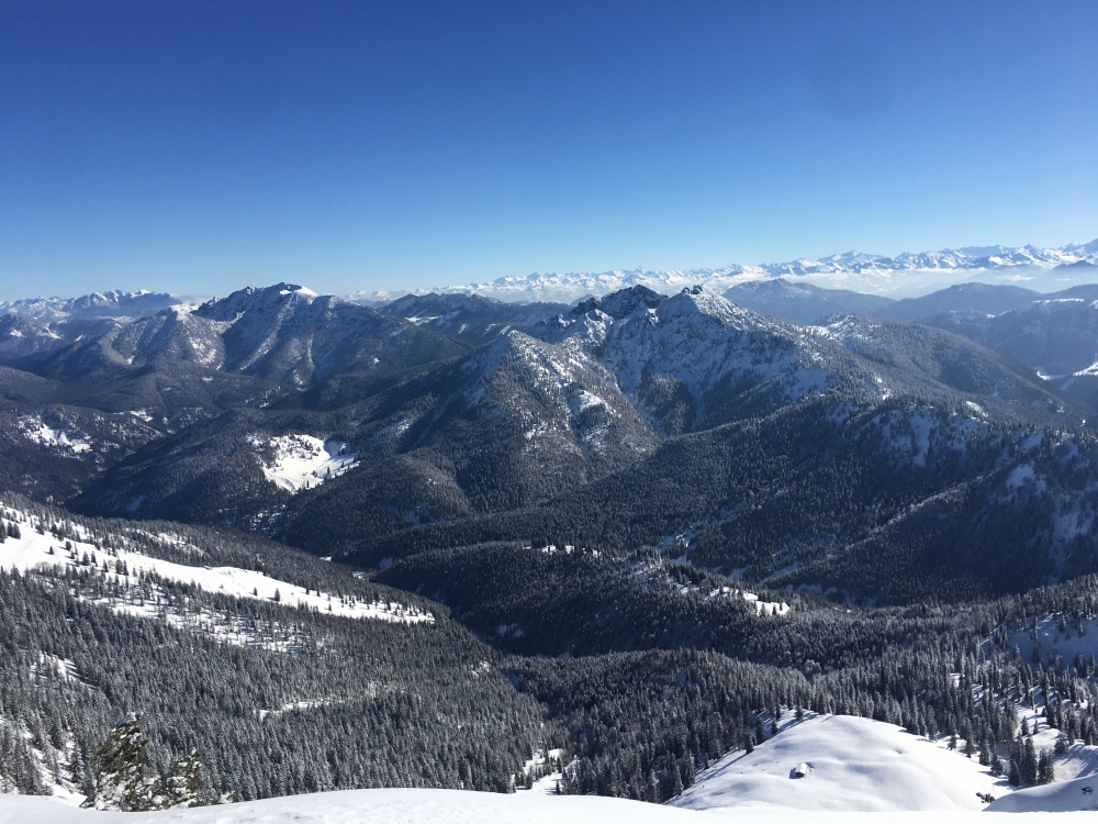 Wanderung Risserkogel von Sutten: Wanderung Risserkogel von Sutten: Blick auf Hinteres Sonnwendjoch (links) und Bayerischer Schinder mit Österreichischer Schinder (rechts) (Risserkogel)