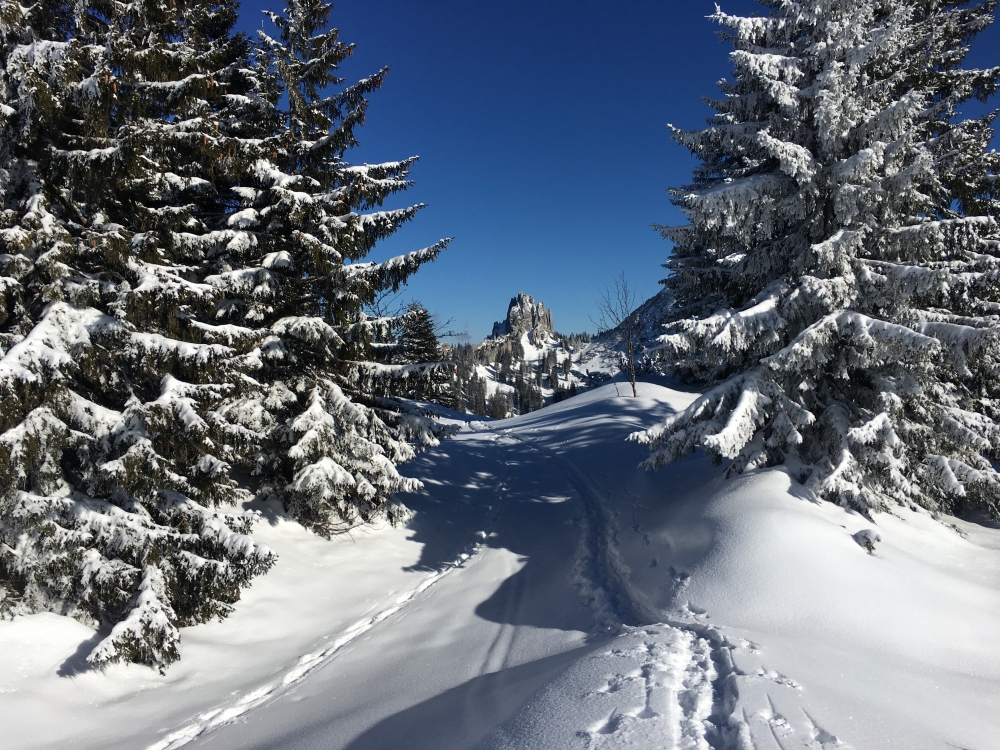 Wanderung Risserkogel: Blick zum Blankenstein