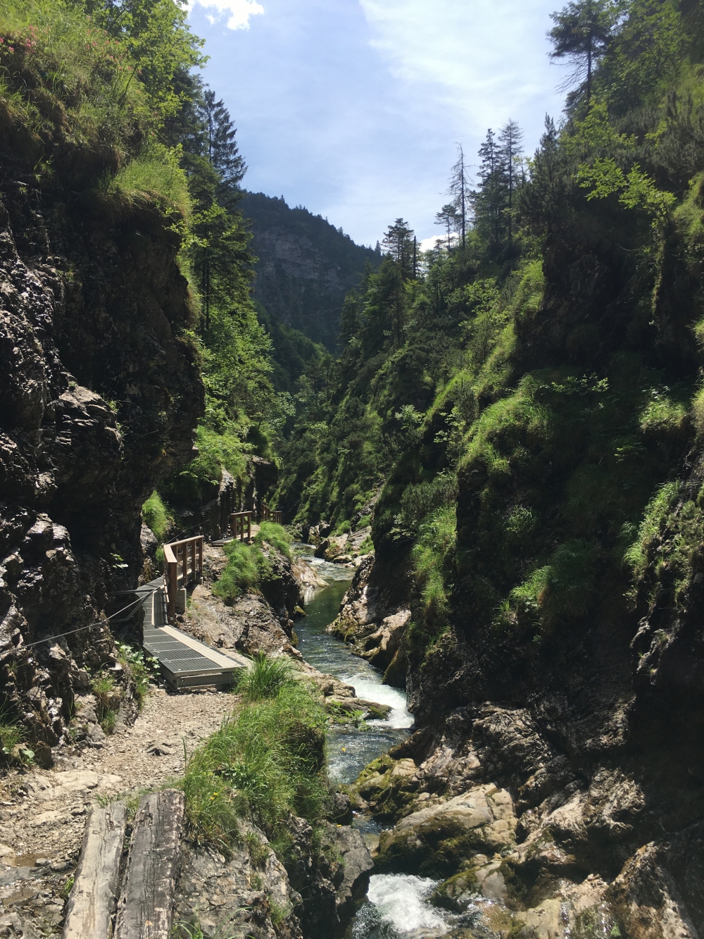 Wanderung Ristfeuchthorn: Weißbachschlucht