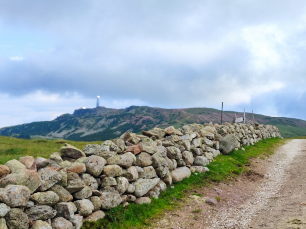 Bike & Hike Rittner Horn: Trockenmauer