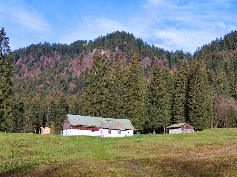 Wanderung Schönberg: Wanderung Schönberg: Röhrlmoosalm