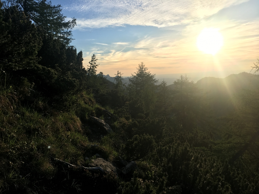 Wanderung Rötlwandkopf mit Bründlingköpfl: Die letzten Meter zum Gipfelkreuz