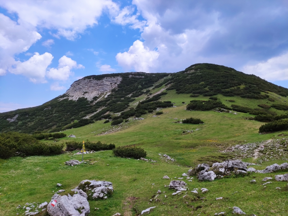 Bike & Hike Rofanspitze: Weg auf Latschberg zu