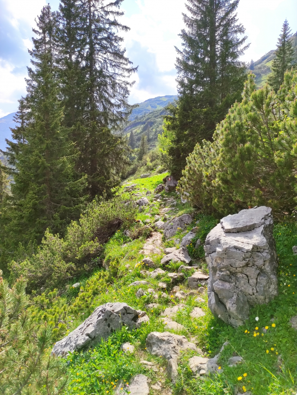 Bike & Hike Rofanspitze: Weg