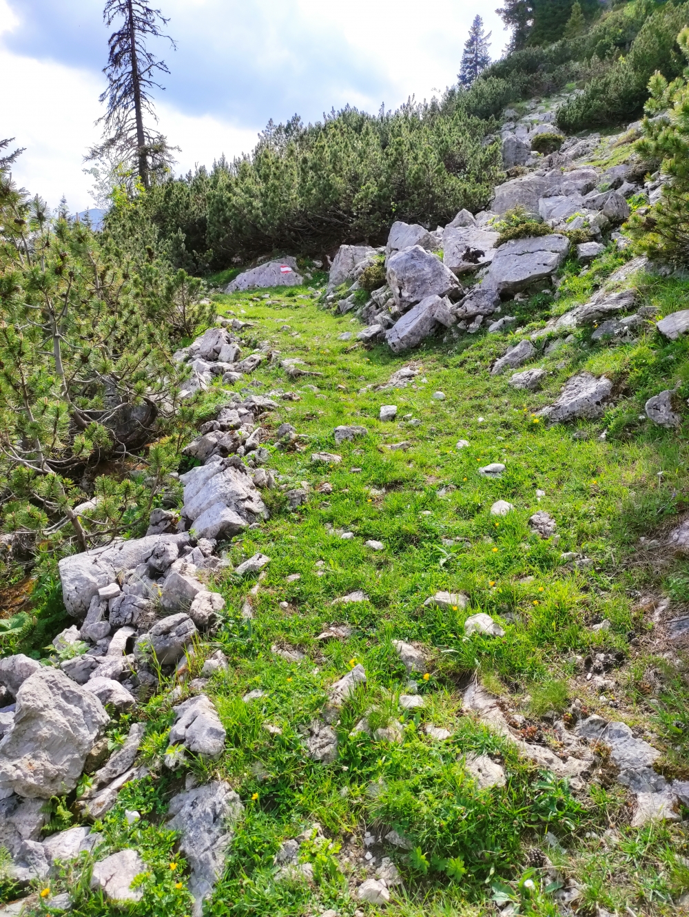 Bike & Hike Rofanspitze: Gut markierter Weg fast ohne Wegspuren