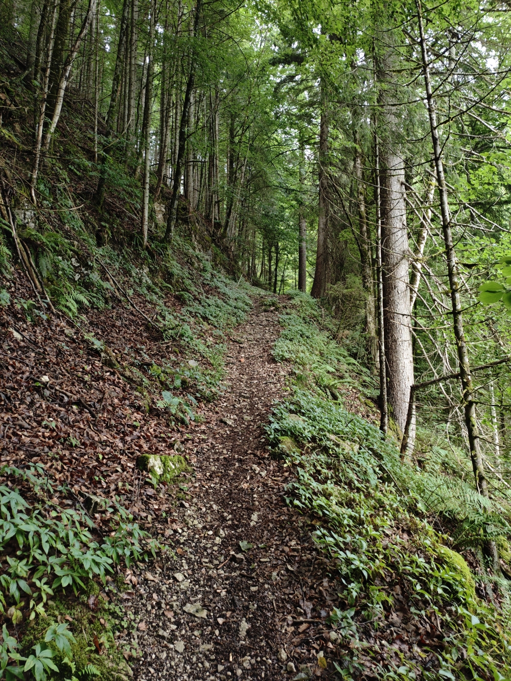 Schleifmühlklamm Ausgang -> Wetzsteinbruch: Weg