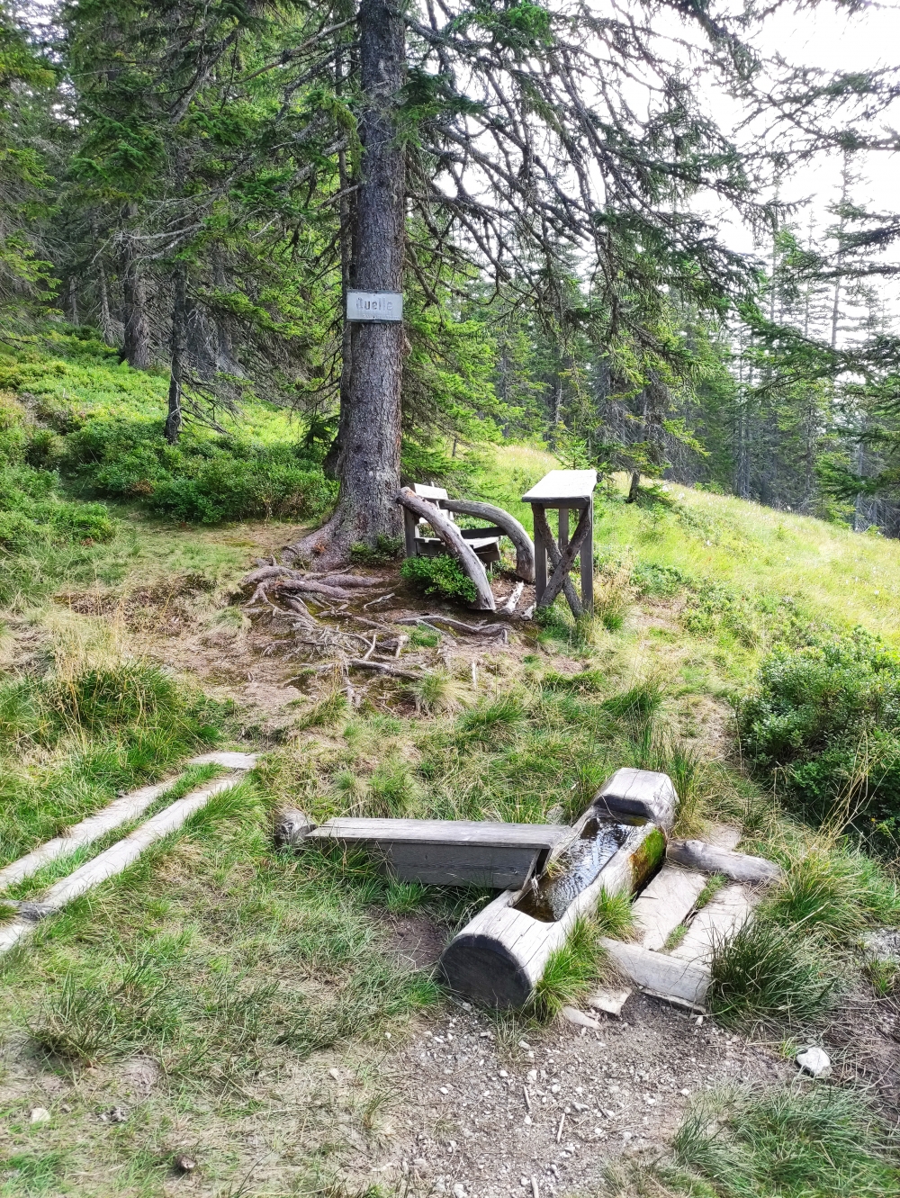 Wanderung Rossbrand: An der Quelle vorbei zum Gipfel
