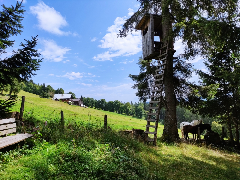 Wanderung Rossbrand: Weg