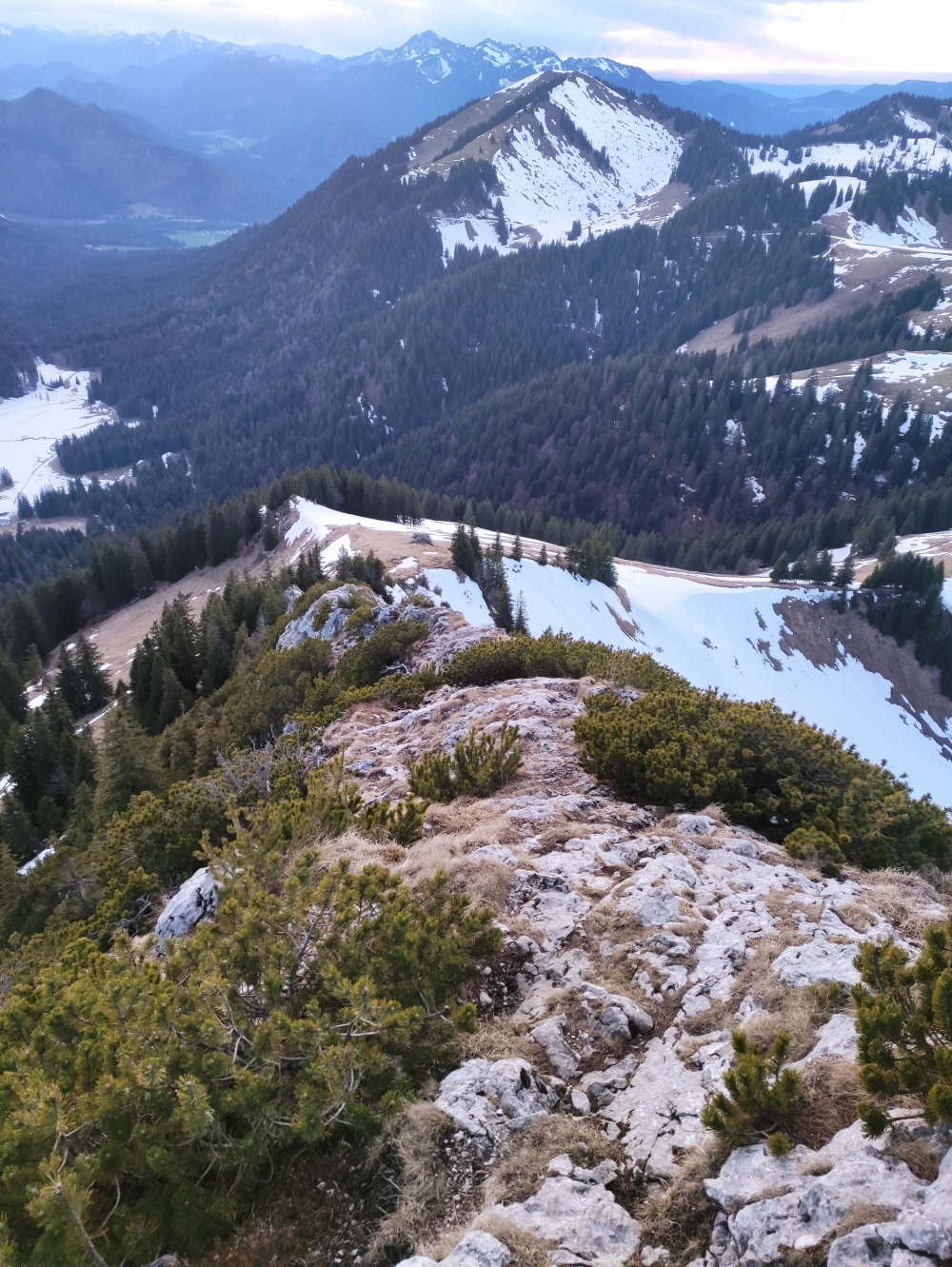 Bike & Hike Roßstein: Bike & Hike Roßstein: Durch die Latschen - Blick nach unten