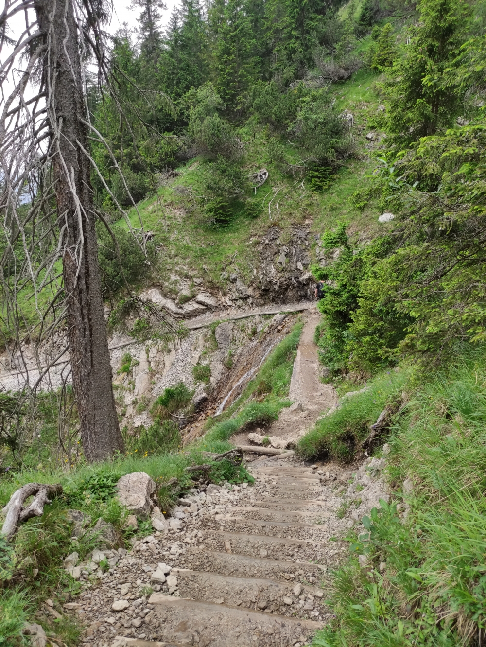 Wanderung Rubihorn: Abstieg