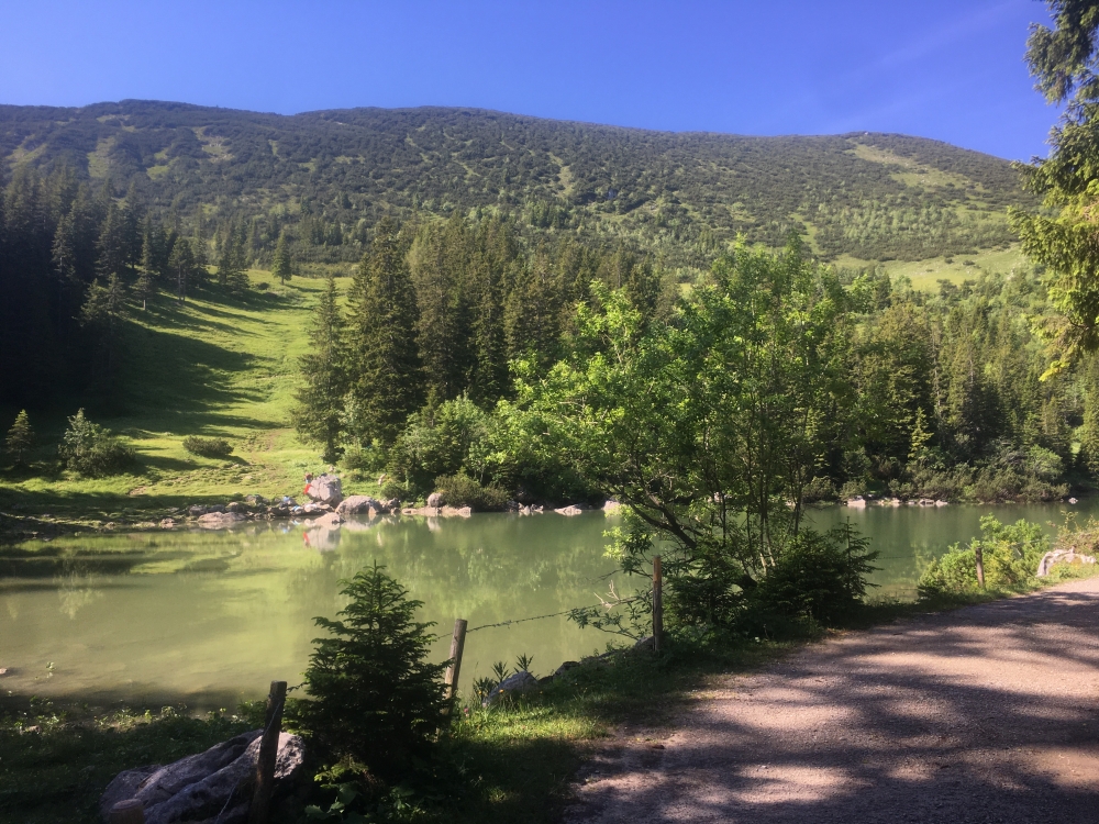 Wanderung Hochmiesing von Gaitau: Wanderung Hochmiesing von Gaitau: Soinsee