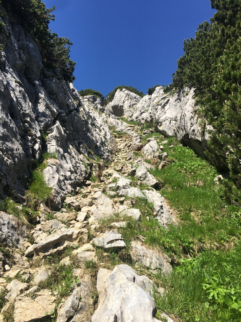 Wanderung Rund um den Hochmiesing: Die Schnittlauchrinne zum Gipfel
