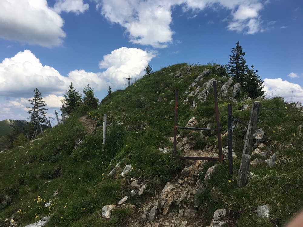 Wanderung Rund um den Hochmiesing: Wanderung Rund um den Hochmiesing: Gipfelkreuz Rauhkopf (Raukopf)