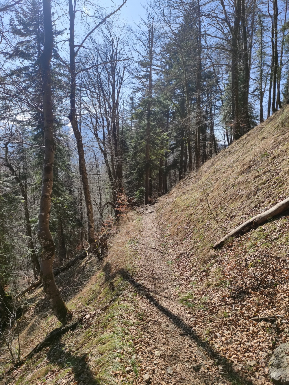 Wanderung Wetterfahne: Weg