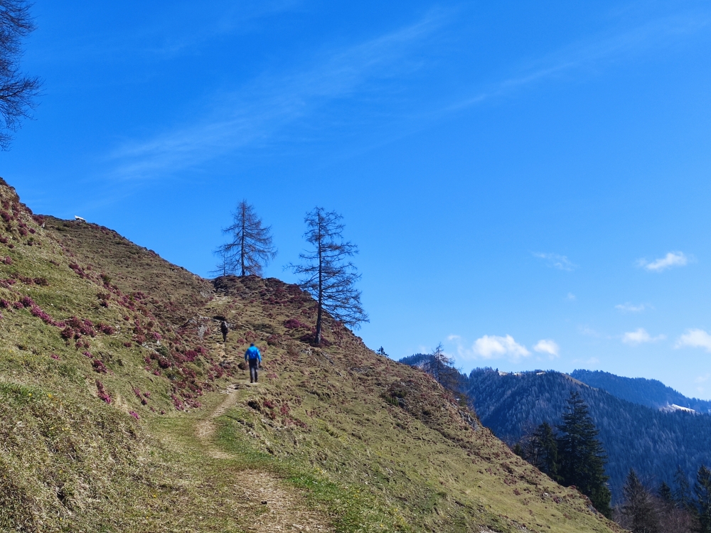 Wanderung Wetterfahne: Weg