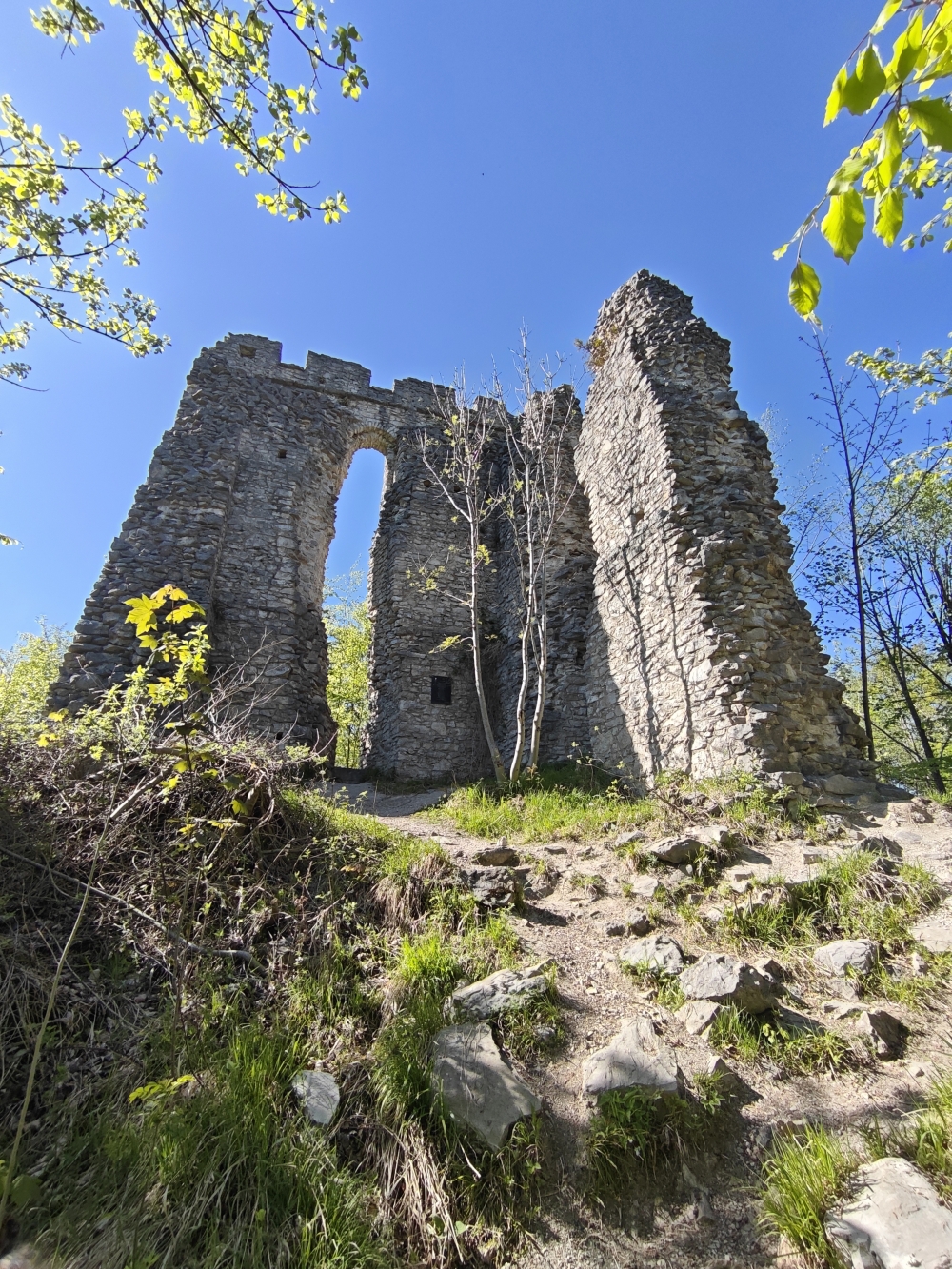Wanderung Großer Barmstein: Wanderung Großer Barmstein: Ruine Thürndl