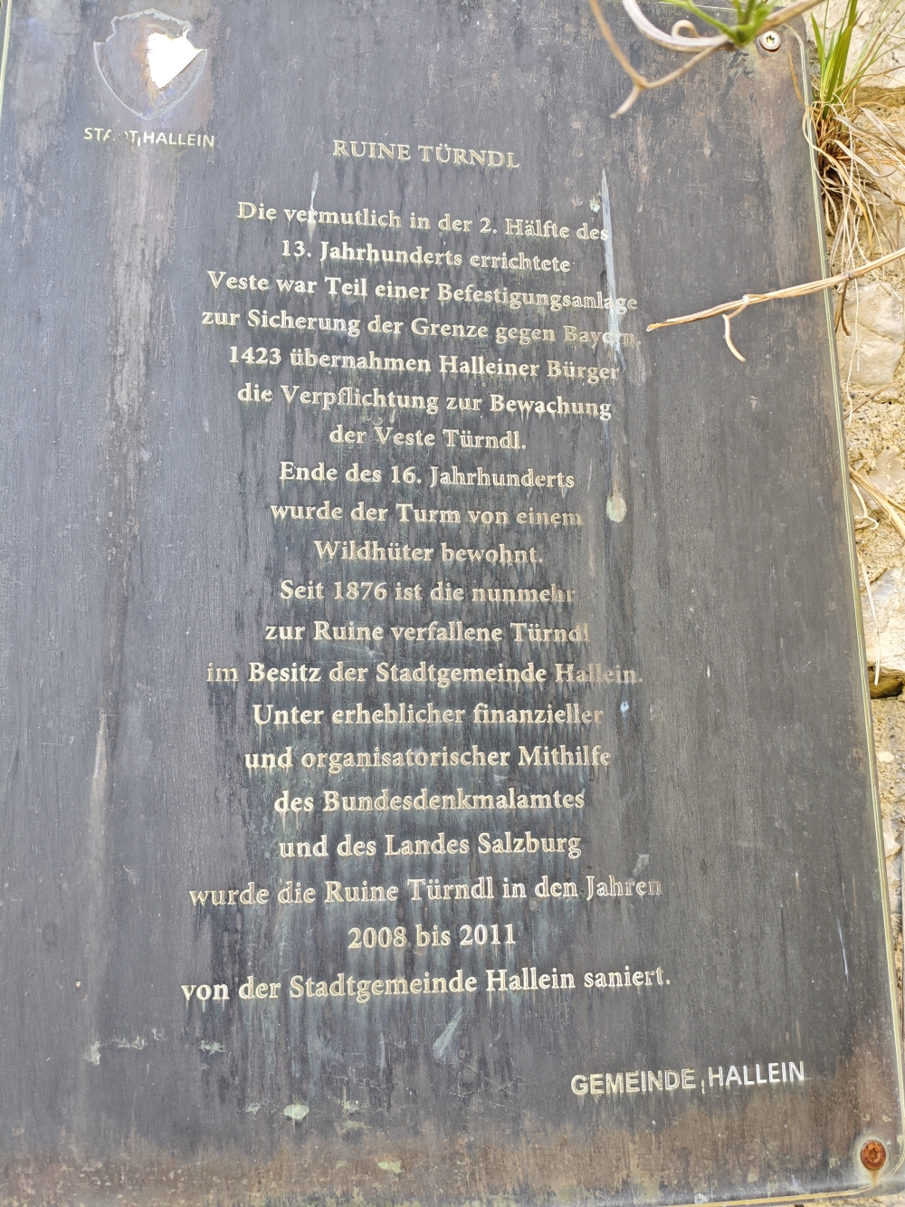 Wanderung Großer Barmstein: Wanderung Großer Barmstein: Infotafel (Ruine Thürndl)