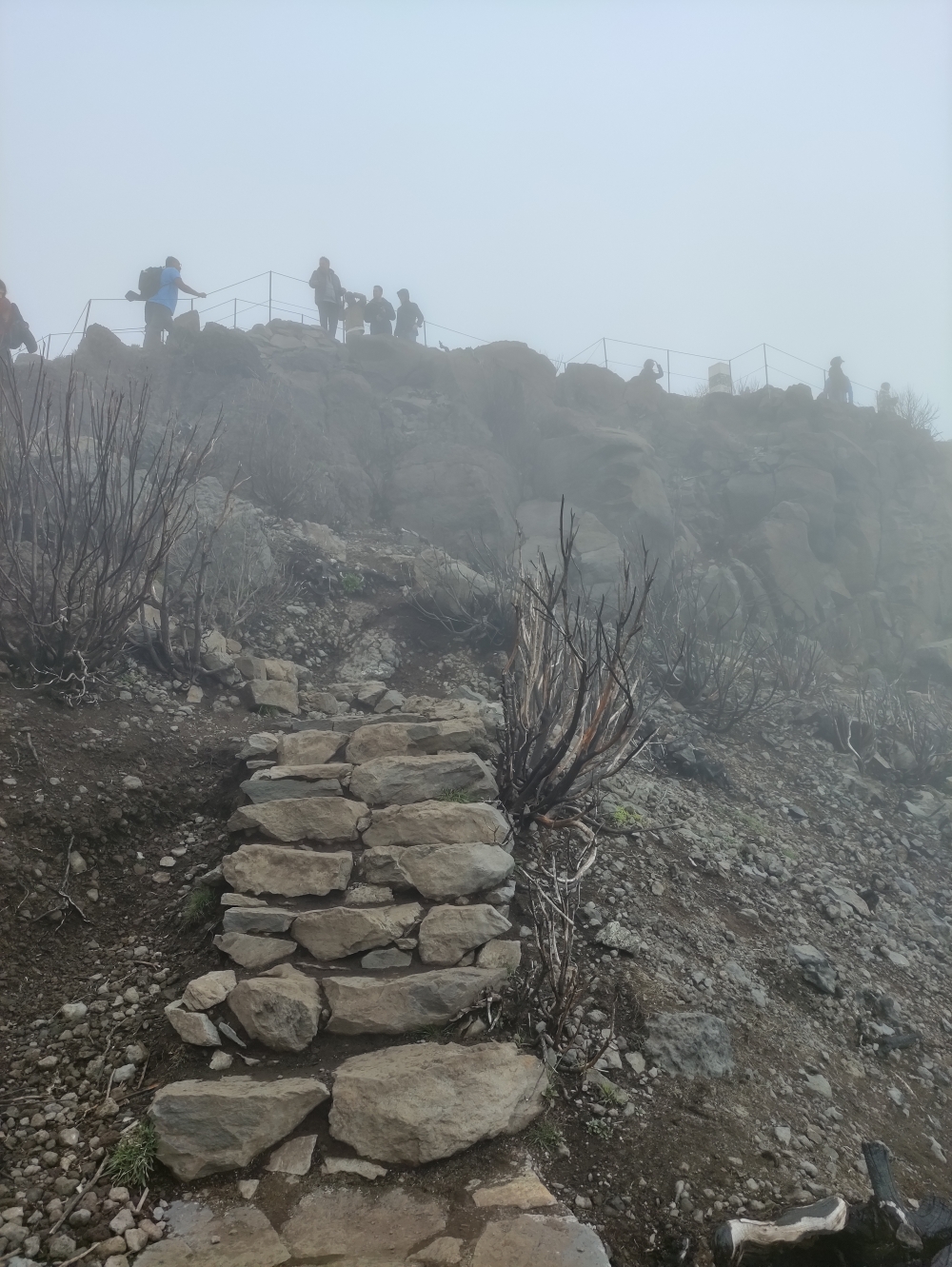 Wanderung Ruivo: Befestigter Weg zum Gipfel