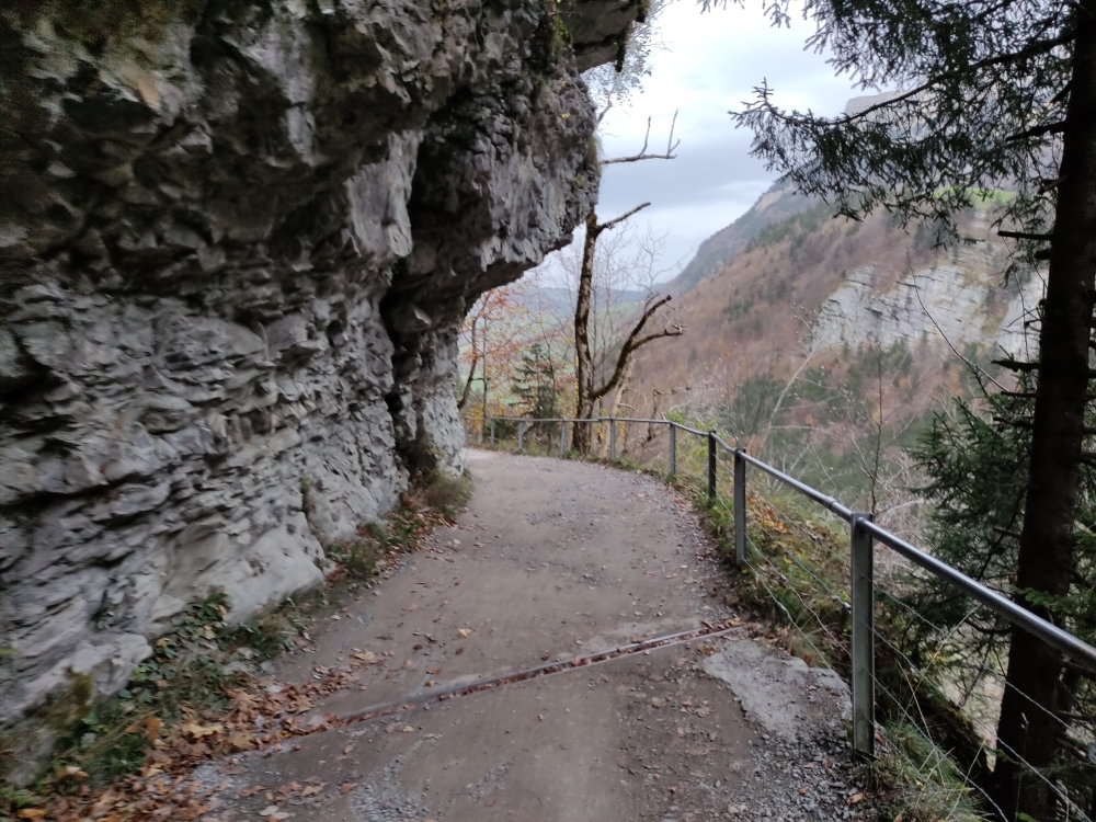 Wanderung Säntis mit Öhrli und Altmann: Auf der Fahrstraße