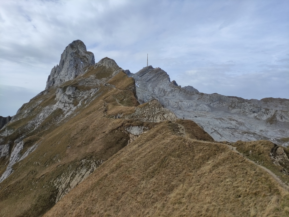 Wanderung Säntis mit Öhrli und Altmann: Lisengrat