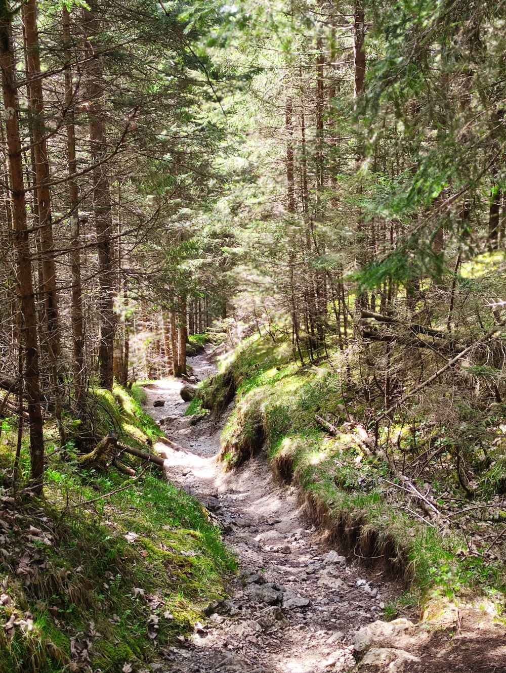 Wanderung Säuling: Wanderung Säuling: Weg