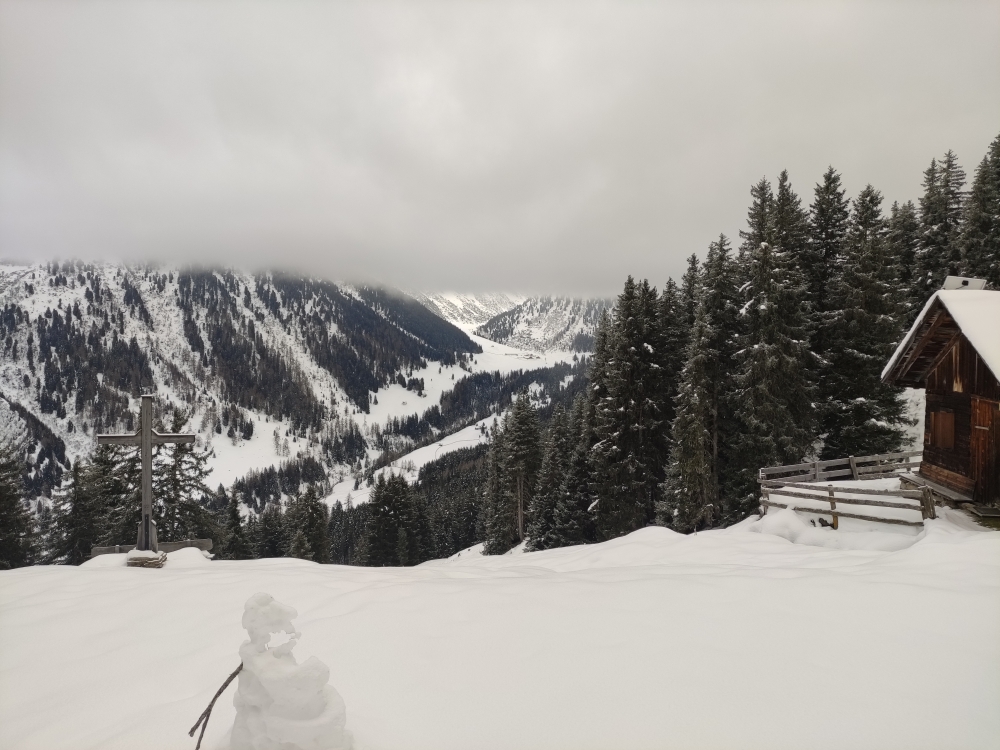Wanderung Salfeins: Wanderung Salfeins: Salfeins-Alm