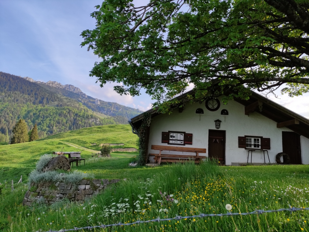 Wanderung Haindorfer Berg: Wanderung Haindorfer Berg: Sameralm