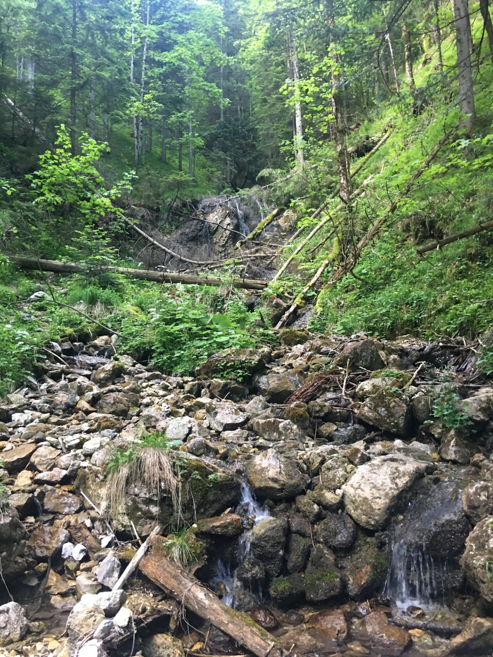 Wanderung Breitenstein: Wanderung Breitenstein: Das Wort Wasserfall kommt einem hier eigentlich nicht in den Sinn - aber ein Bankerl lädt zur Rast ein. (Sattelbach Wasserfall)