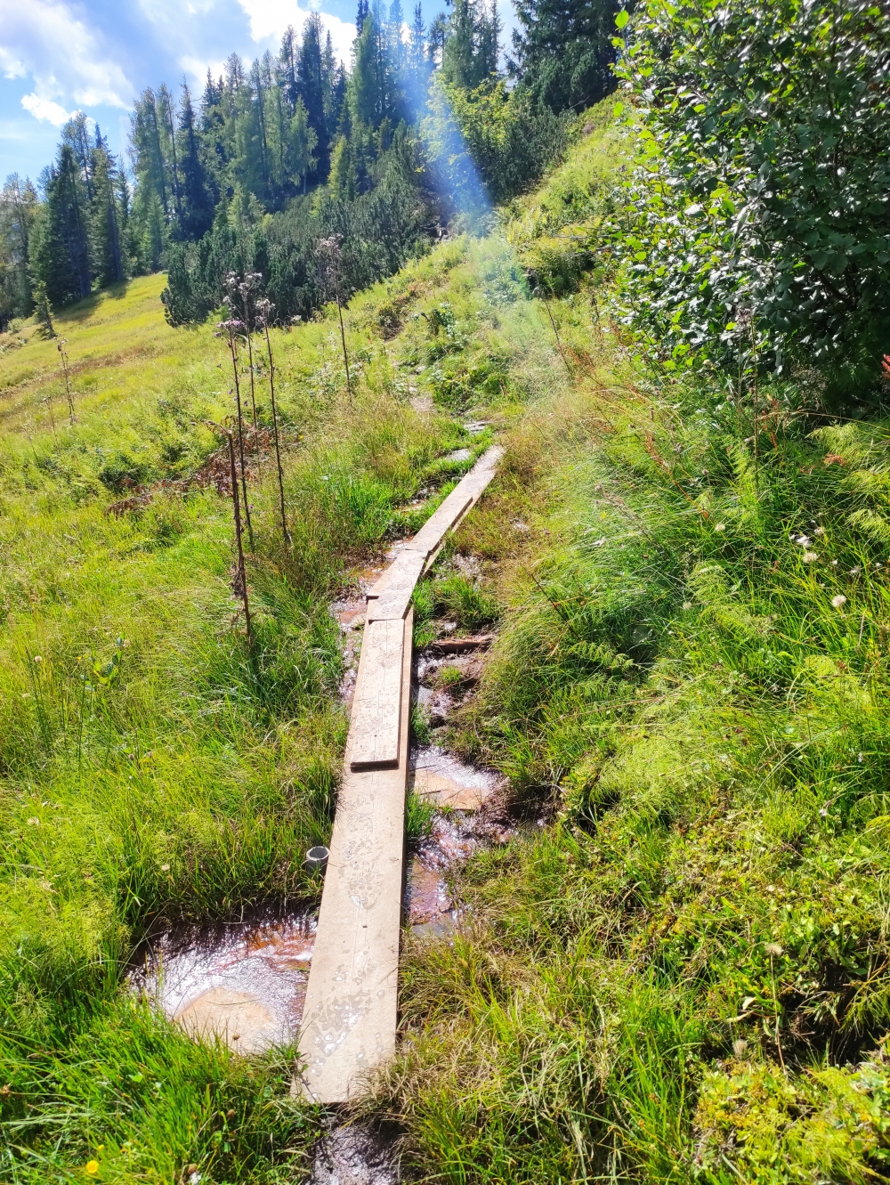 Wanderung Saukarfunktel: Der lange Verbindungssteig zwischen Frauenalm und dem Starjet-Sessellift