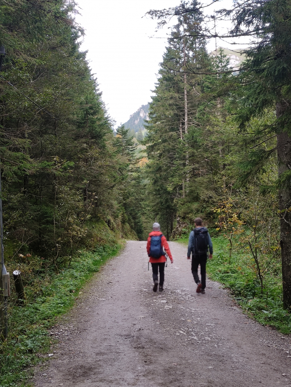Wanderung Saxerlücke: Abstieg
