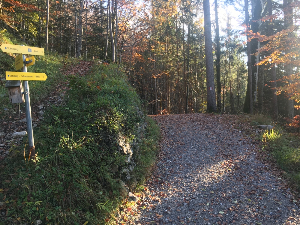 Wanderung Schafberg vom Schwarzensee: Der Sattelweg beim Abzweig Sommerauweg