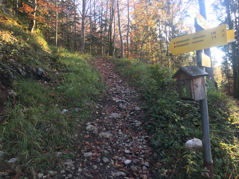 Wanderung Zwergerlweg Vormauerstein: Wanderung Zwergerlweg Vormauerstein: Der Sommerauweg beim Abzweig Sattelweg