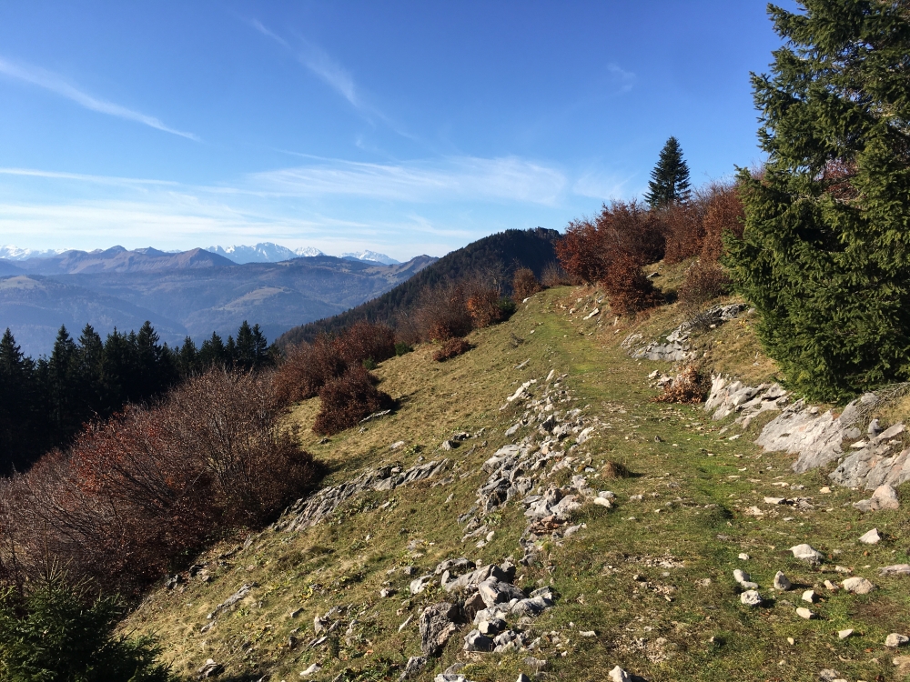Wanderung Schafberg vom Schwarzensee: Breiter Wanderweg