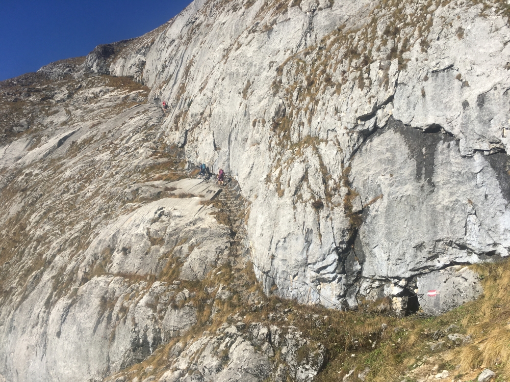 Wanderung Schafberg vom Schwarzensee: Der Purtschellersteig