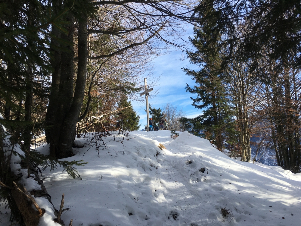 Wanderung Schafkopf: Wanderung Schafkopf: Die letzten Meter zum Gipfel (Schafkopf)