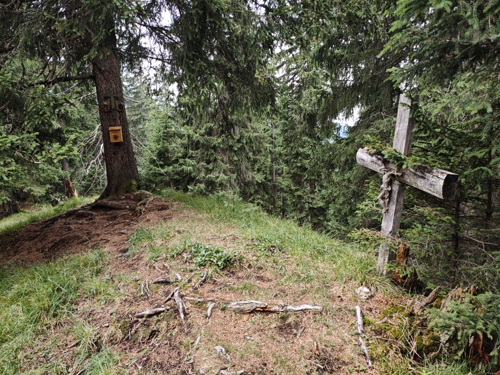 Schartenköpfl -> Schleifmühlklamm Ausgang: Gipfelkreuz