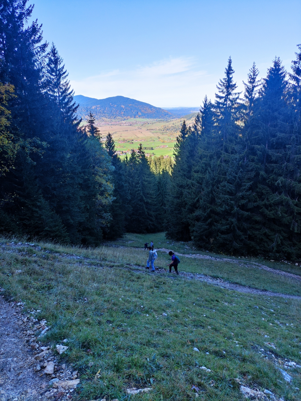 Wanderung Schartenkopf: Serpentinen auf Skipiste