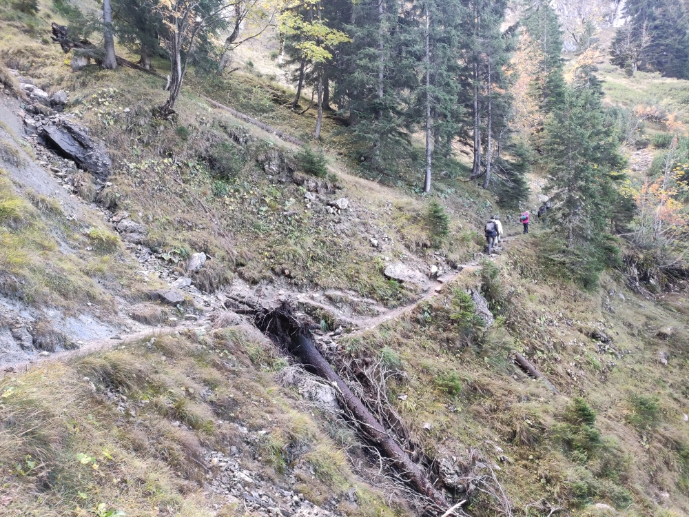 Wanderung Latschenköpferl zum Schoberwaldkreuz: Schartenkopfweg
