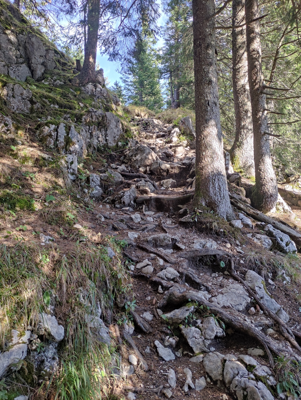 Wanderung Schartenkopf: Leicht verblockt